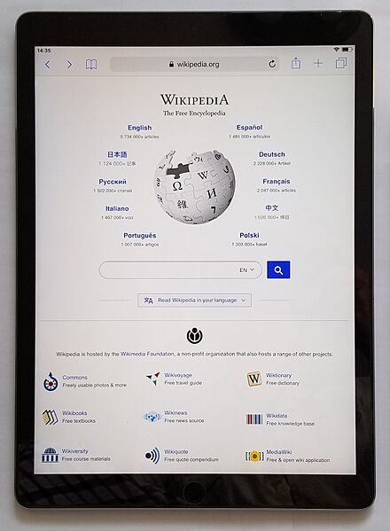 Wikipedia on iPad Pro