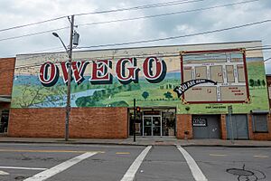 You are here in Owego, New York