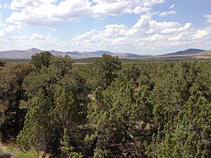 2013-07-04 15 06 01 Singleleaf Pinyon-Utah Juniper woodland along Interstate 80 east of Wells in Elko County in Nevada