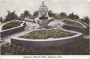 Arlington Mineral Well, Arlington, Tex (20088440)