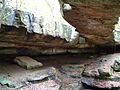 At Rockbridge State Nature Preserve