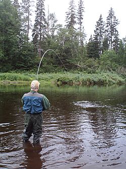 Atlantic Salmon Fishing Cains River New Brunswick (8376386310)