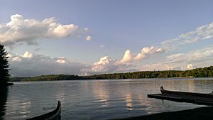 Bark Lake on a summer evening (38831993252).jpg