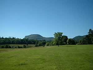 Benaughlin Mountain from Florence Court