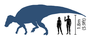 Brachylophosaurus scale diagram