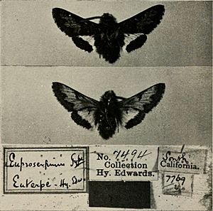 Bulletin of the Southern California Academy of Sciences (1902-1971.) (19873988274).jpg