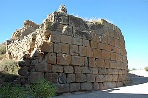 Castellnou d'Ossó castle