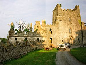 Castle Leap, Birr, Ireland
