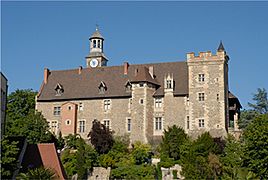 Château des Ducs de Bourbon - Montluçon
