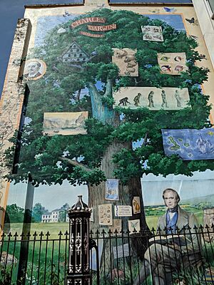 Charles-darwin-mural-bromley