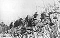 Chinese 79th Division at Chosin