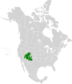 Colorado Plateau Shrublands map.svg