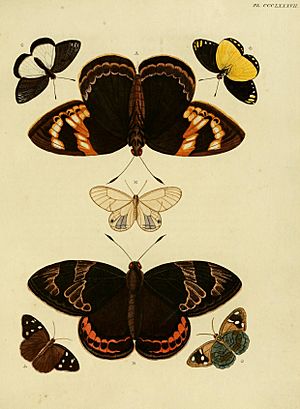 CramerAndStoll-uitlandsche kapellen vol. 4- pl 387.jpg