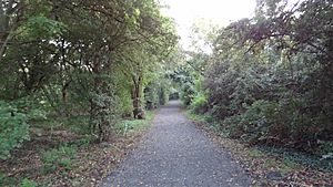Cranham Brickfields path