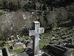 Cross with graves karori cemetery.jpg