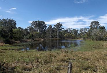 Dam at Karrabin Queensland.jpg