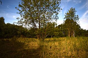 Dernford Fen 6