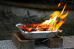 Disposable Barbecue