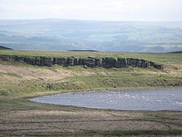 Dove Crag above Broomlee Lough - geograph.org.uk - 1440011.jpg