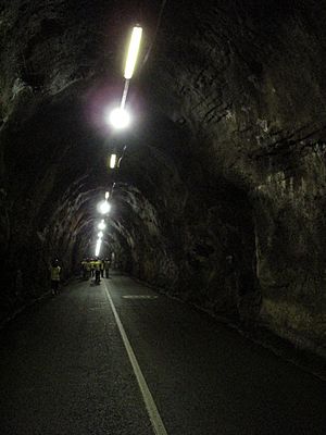 ESB Turlough Hill tunnel
