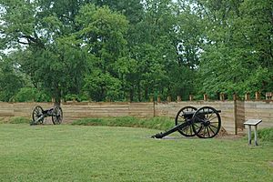 Fort Pillow cannons 2006.jpg
