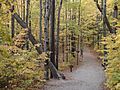 Franconianotchtrail