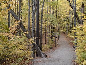 Franconianotchtrail