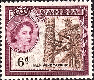 Gambia 1953 stamps crop 6