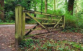 Gate, Hillsborough forest - geograph.org.uk - 1506352.jpg