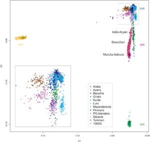 Genetic distance of worldwide populations
