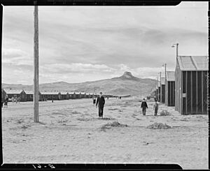 Heart Mountain Relocation Center, Heart Mountain, Wyoming. "Symbolic Heart Mountain towers at the e . . . - NARA - 538725