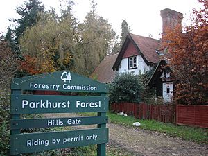 Hillis Gate - Parkhurst Forest - geograph.org.uk - 90201.jpg