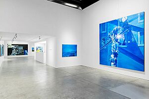 Jacques Monory Installation View
