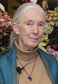 Jane Goodall 2015