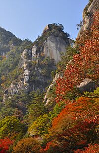 Kakuenpou in autumn