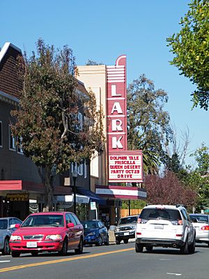 Lark Theater, Larkspur, California - Stierch