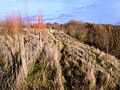 Main Quarry, Mountsorrel 3