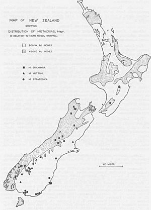 Map of distribution of New Zealand Metacrias, Meyr.jpg