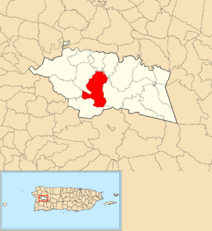 Location of Maravilla Sur within the municipality of Las Marías shown in red