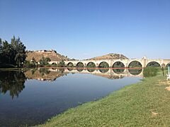 Medellín, Badajoz, Spain - panoramio (1)