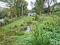 Millennium Garden at Lamorna