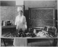 Mina van winkle USFA