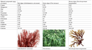Mineral Compositions of Seaweeds