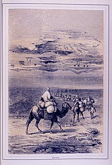 Mirage in The Aerial World, by Dr. G. Hartwig, London