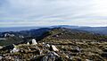 Mount Allen