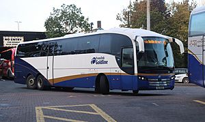New Goldliner bus