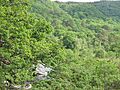 Oak woods, Airigh Fhionndail - geograph.org.uk - 894821