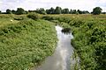 Padbury Brook - geograph.org.uk - 715548