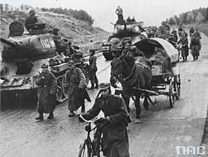 Polish Army 1945