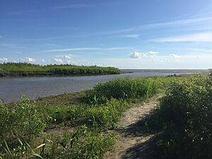 Rivière Yamachiche